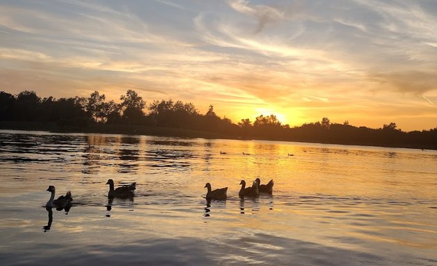 Photo of Wheel Fun Rentals - Lake Balboa Bike Rentals