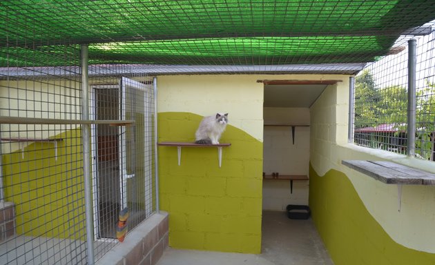 Foto de Granja La Luna 🌙 Oficina Residencia Canina en Madrid (Solo Oficinas)