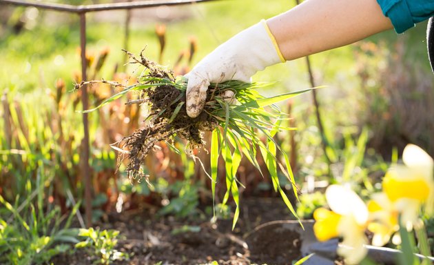 Photo of Extreme Yard Care