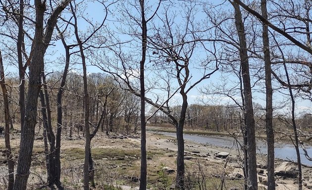 Photo of Two Tree Island