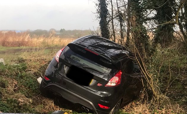 Photo of Oxheys Christmas Tree Farm