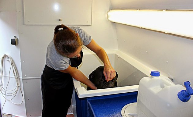 Photo of Pooches Mobile Dog Grooming Blackpool