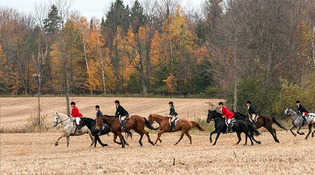 Photo of Ottawa Valley Hunt