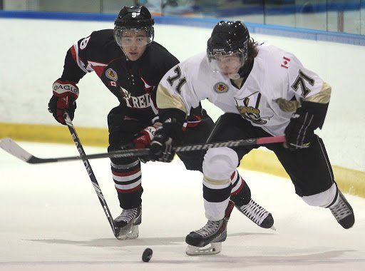 Photo of LaSalle Vipers Jr. B.