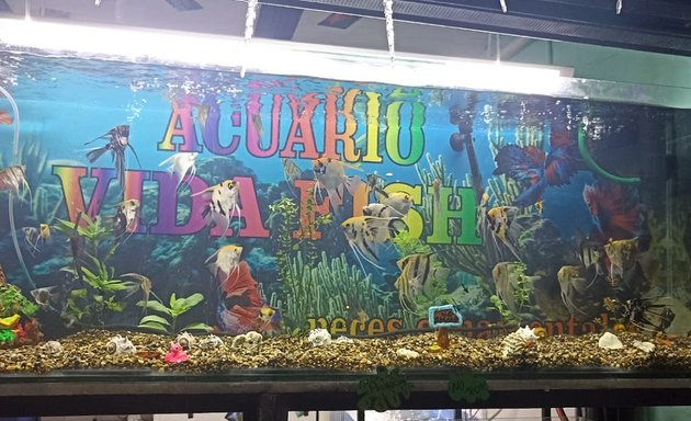 Foto de Acuario Vida Fish