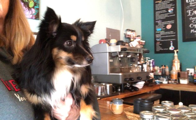Photo of Moby's Coffee & Tea Co.