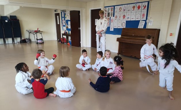 Photo of Black Panther School Of Japanese Karate