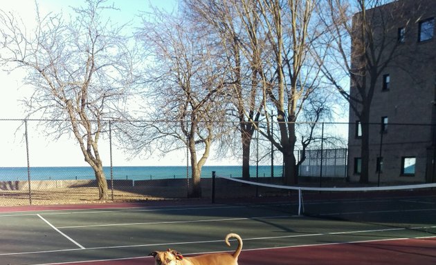 Photo of Rogers Beach Park Tennis Courts