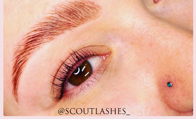 Photo of Scout Lashes