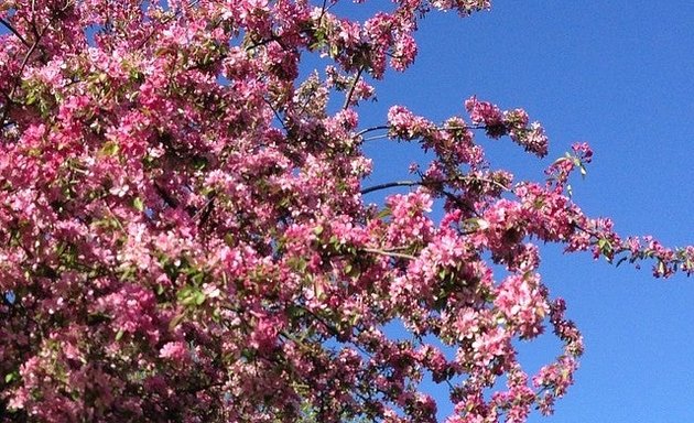 Photo of Upper Norwood Recreation Ground