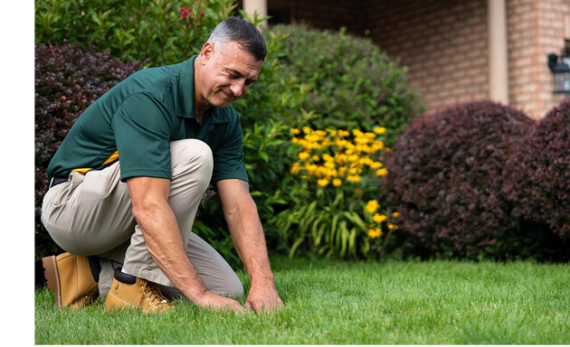 Photo of Weed Man Lawn Care