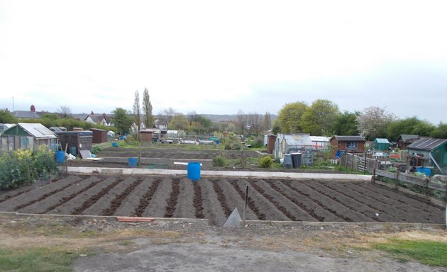 Photo of Old Lane Allotments