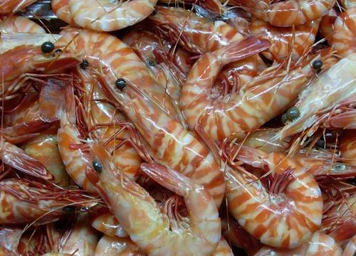 Photo of Ankur Sea Foods