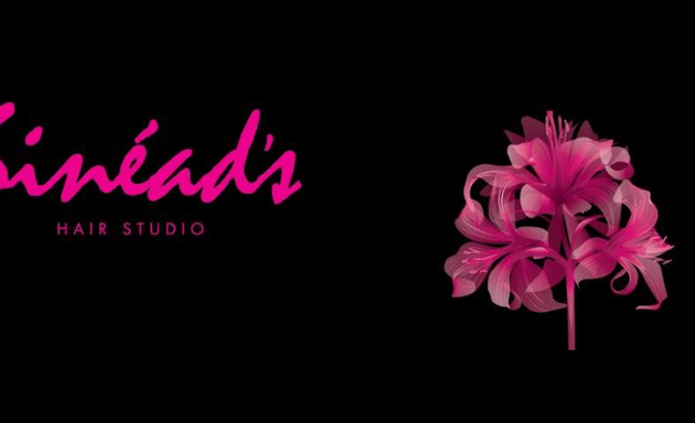Photo of Sineads Hair Studio