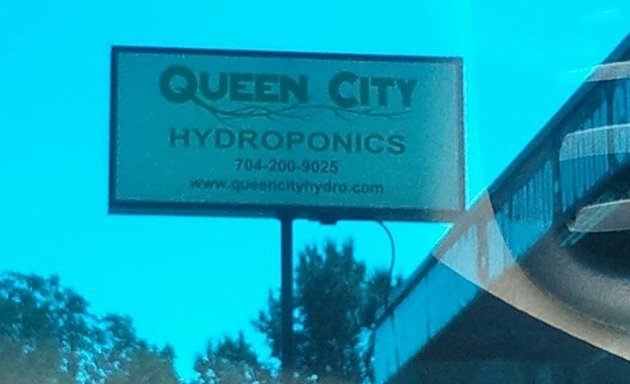 Photo of Queen City Blonde