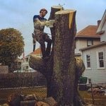 Photo of Schwan's Tree Care