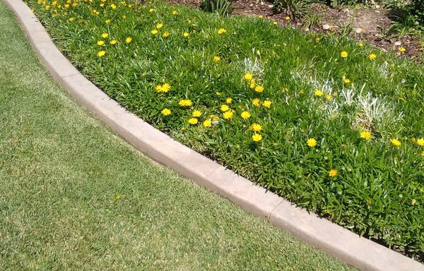 Photo of www.javislawnandgarden.com