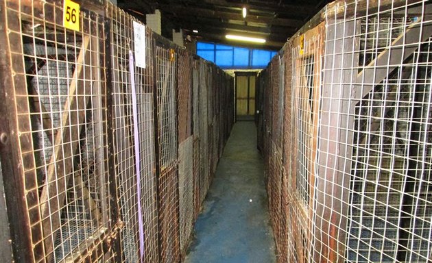 Photo of NORSAH Kennels