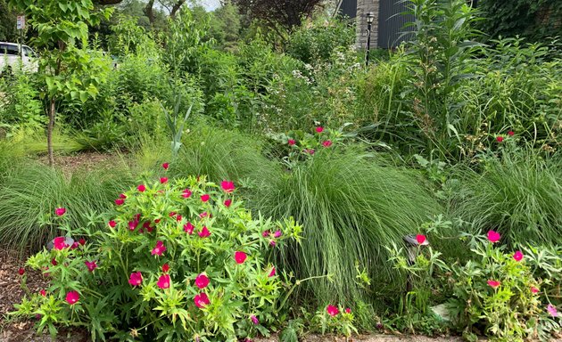 Photo of Red Stem Native Landscapes, Inc.