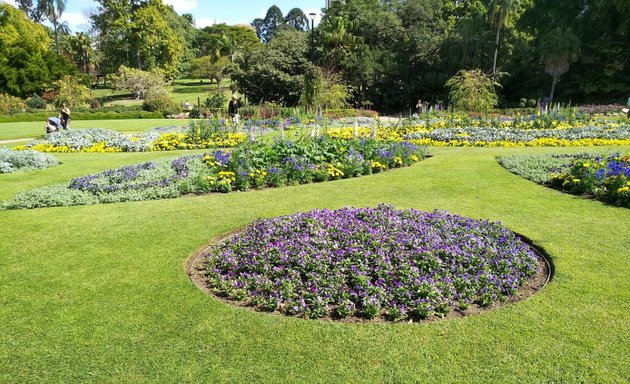 Photo of Brisbane City Botanic Gardens Playground