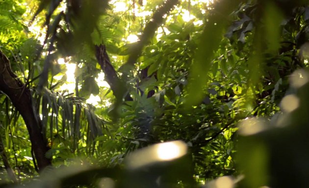 Photo of Forest School