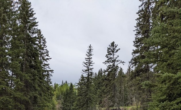 Photo of Blackmud Creek Ravine Park