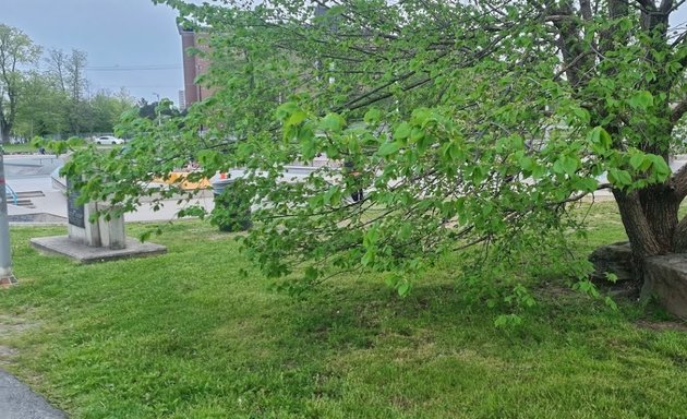 Photo of Halifax Commons Playground