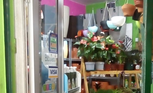 Foto de Tienda De Regalos Buceo