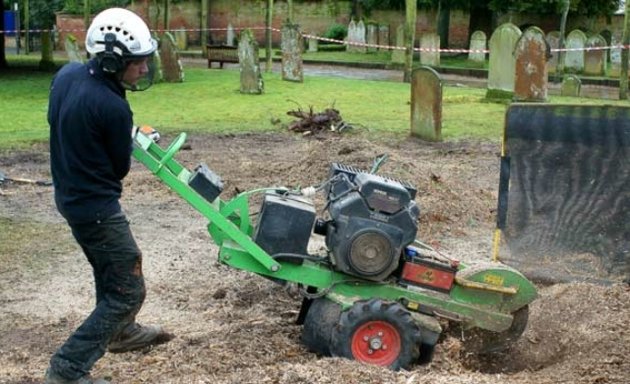 Photo of Stump Removal Services