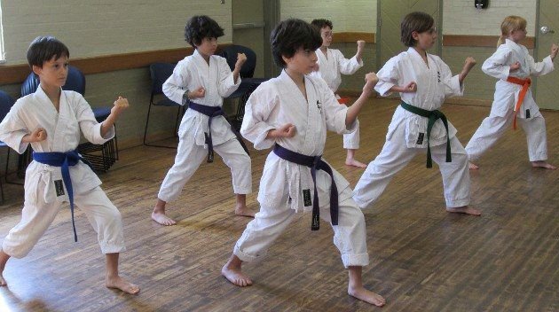 Photo of Okinawa Karate Center UchinaaDiKan