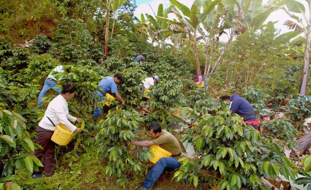 Foto de Yakumama Café & Frutos Orgánicos