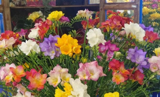 Photo of Pacific Coast Floral Wholesale Ltd.