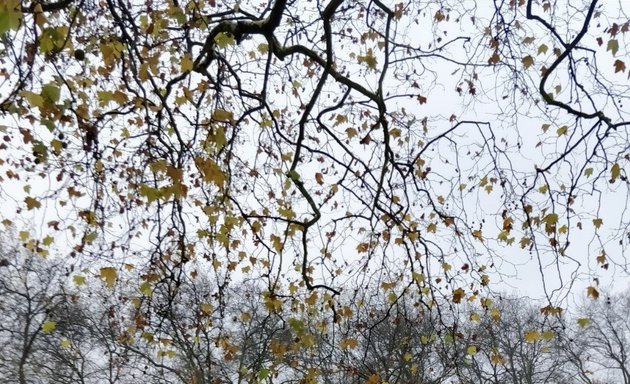 Photo of Highbury Fields