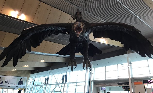 Photo of Wellington International Airport