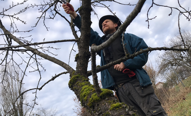 Foto von Arbre Ouvert