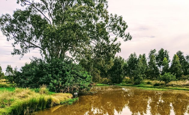 Photo of Pelican Island