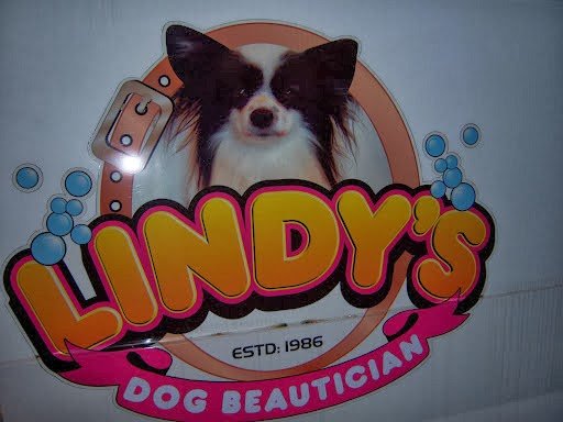 Photo of Lindy's (Mobile) Dog Grooming