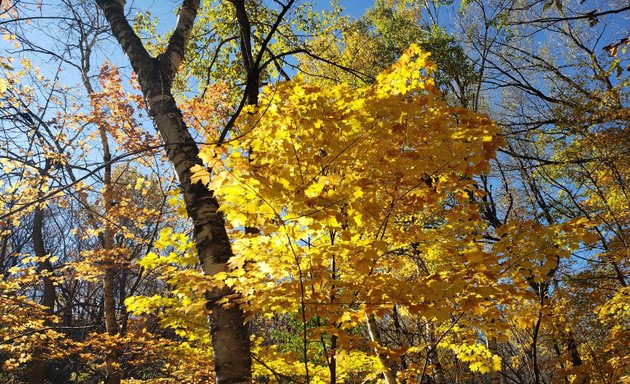 Photo of Parc rivière Beauport