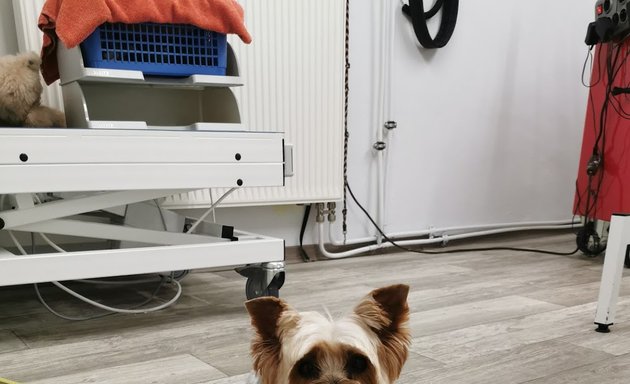 Foto von Hundepflege-Salon-Claudia