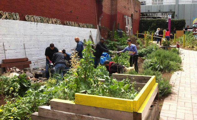 Photo of Please Touch Community Garden