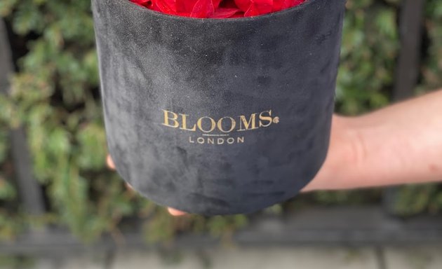 Photo of Blooms at London (Bluebird Chelsea)