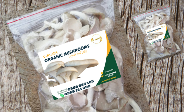 Photo of V-klars Mushrooms
