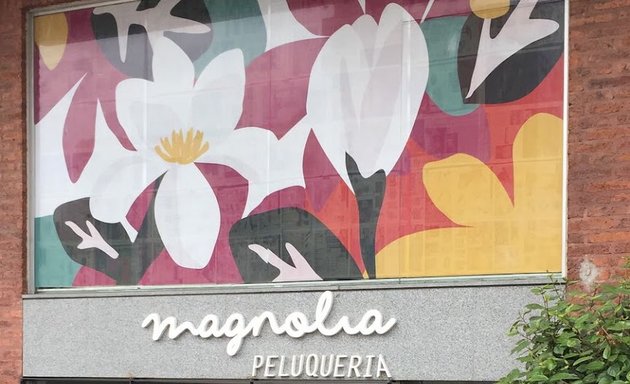 Foto de Magnolia Peluquería