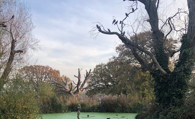 Photo of Gladstone Park Pond