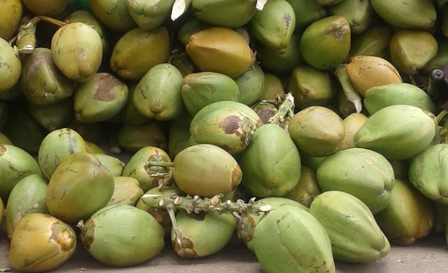 Photo of Naveen Tender Coconut Stall