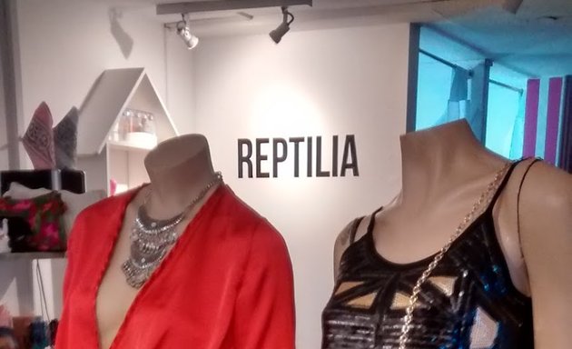 Foto de Reptilia