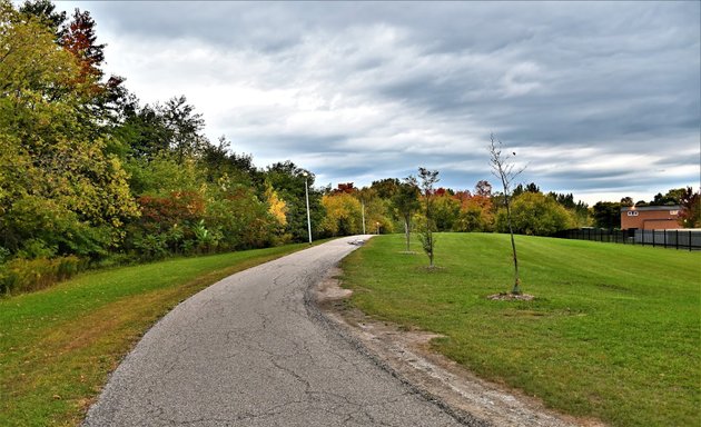 Photo of Chalkfarm Park