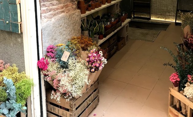 Foto de Florea - Flores Preservadas - EL Rastro