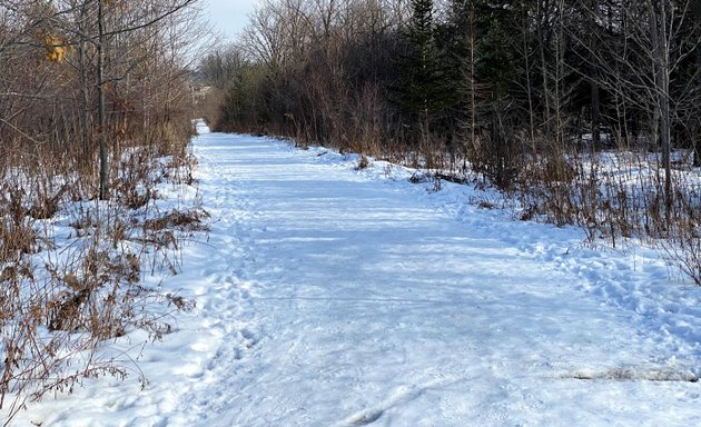 Photo of Upper East Don River and ValleyLand