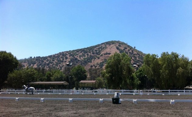 Photo of Jane McLoud Dressage